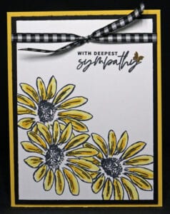 Stepped Up 3 Daisies Flowers with 2 tone petals
