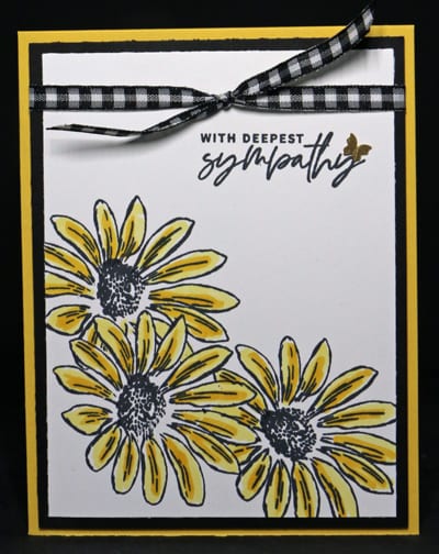 Stepped Up 3 Daisies Flowers with 2 tone petals