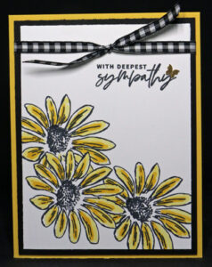 Stepped Up 3 Daisies Flowers with 2 tone petals